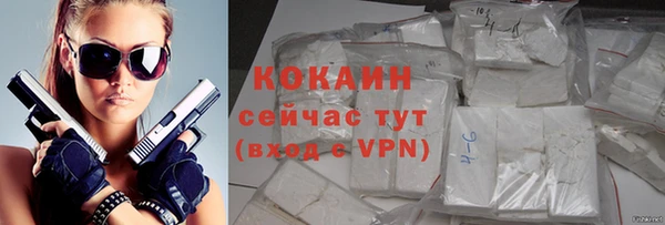 PSILOCYBIN Бородино