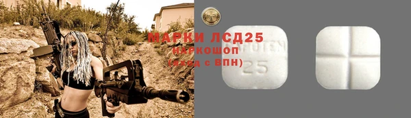 PSILOCYBIN Бородино