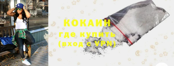PSILOCYBIN Бородино