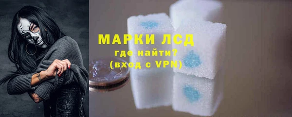 PSILOCYBIN Бородино