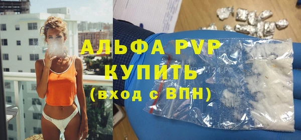 PSILOCYBIN Бородино
