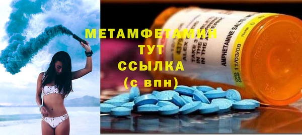 PSILOCYBIN Бородино