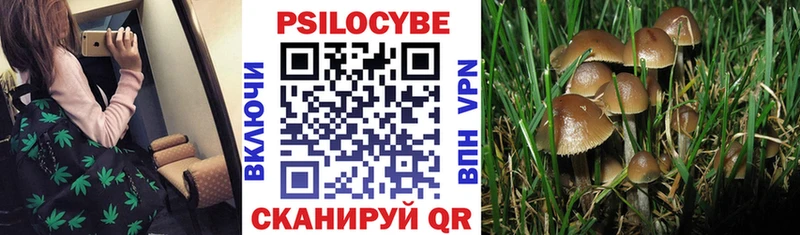 Псилоцибиновые грибы MAGIC MUSHROOMS  Черкесск 